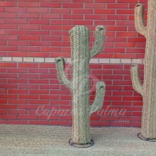 Cactus Izguem